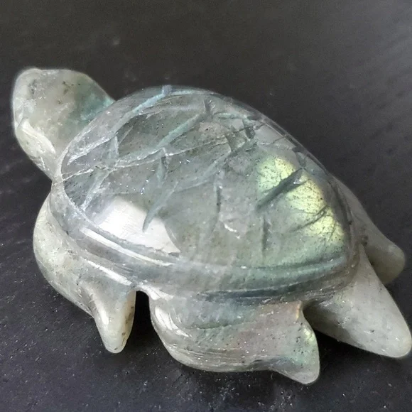 🐢 Labradorite Turtle 🐢 - Picture 4 of 7